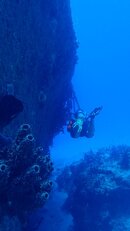 IMG_2645.jpeg