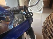 IMG_0482.jpeg