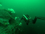 PXL_20250503_171344740.jpg