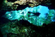 IMG_2313.jpeg