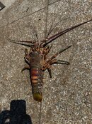 IMG_7941.jpeg