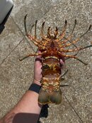 IMG_7943.jpeg