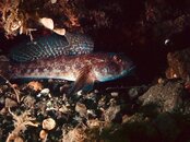 IMG_6063.jpeg