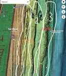 reef lines.jpg