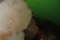 NDM01390.JPG