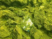 coumduala lough 2.jpeg