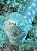DSC03643.jpg