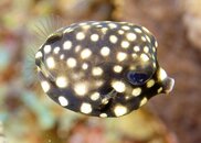 DSC04067.jpg