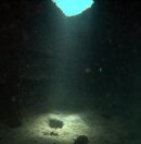 P9165020.ORF.jpg