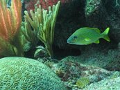 IMG_1363.jpg