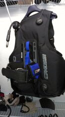 BCD Back.jpg