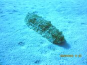 IMG_1193.jpg
