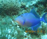 IMG_1356.jpg