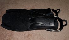 Hollis-F1_Bat-Fins.jpg