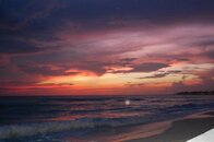 DSC_0184.jpg