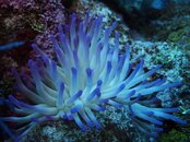 LITTLECAYMAN08182011_171.jpg