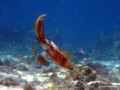 IMG_1221.jpg