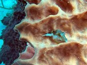 IMG_0539.jpeg