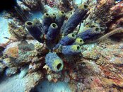 IMG_0541.jpeg