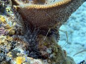 IMG_0699.jpeg