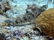 IMG_0689.jpeg