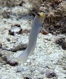 IMG_0687.jpeg