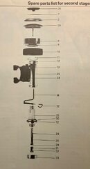 IMG_3919.jpeg