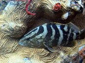 IMG_0743.jpeg