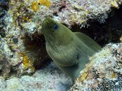 IMG_0697.jpeg
