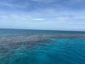 IMG_9669.jpeg