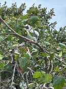 IMG_5942.jpeg