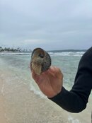 IMG_5908.jpeg