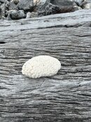 IMG_5904.jpeg