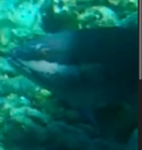 Screenshot 2025-06-29 at 5.47.53 PM.png
