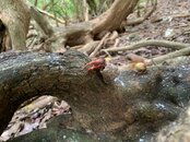 IMG_3695.jpeg