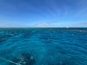 IMG_5592.jpeg