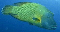IMG_5888.jpeg