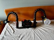 IMG_9856.jpg