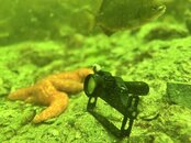 IMG_4335.jpeg