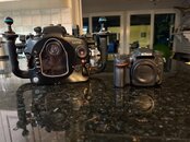IMG_4510.jpeg