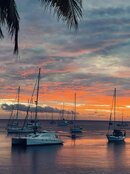 Free Moorings - Paradise Taveuni - Fiji Vacations.jpg