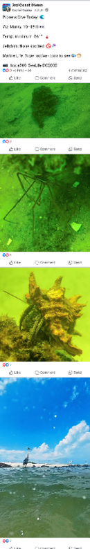 Screenshot_20250809-100050.png