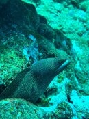 IMG_4603~photo.jpg