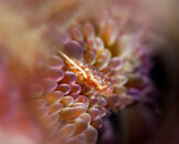 untitled-77.jpg