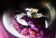 untitled-78.jpg