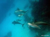 IMG_0893.jpg