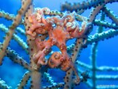 IMG_1007.jpg