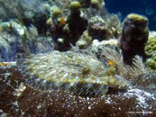 IMG_1024.jpg