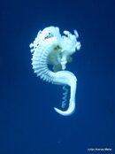 IMG_0848.jpg