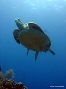 IMG_1254.jpg